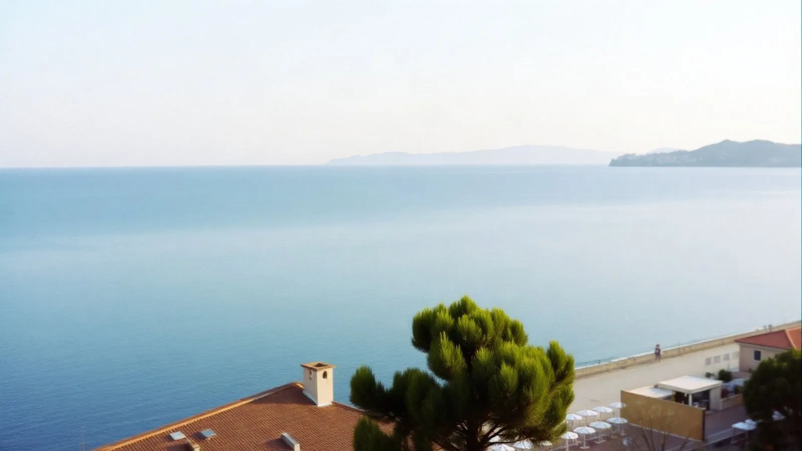 Veduta ampia e quieta di una costa italiana con il mare calmo, un pino in primo piano e uno stabilimento balneare piccolo in basso
