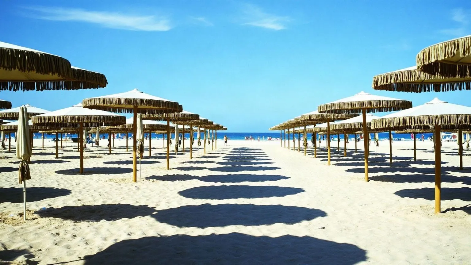 Il corridoio di sabbia fra due file di ombrelloni di paglia di uno stabilimento, in prospettiva verso il mare